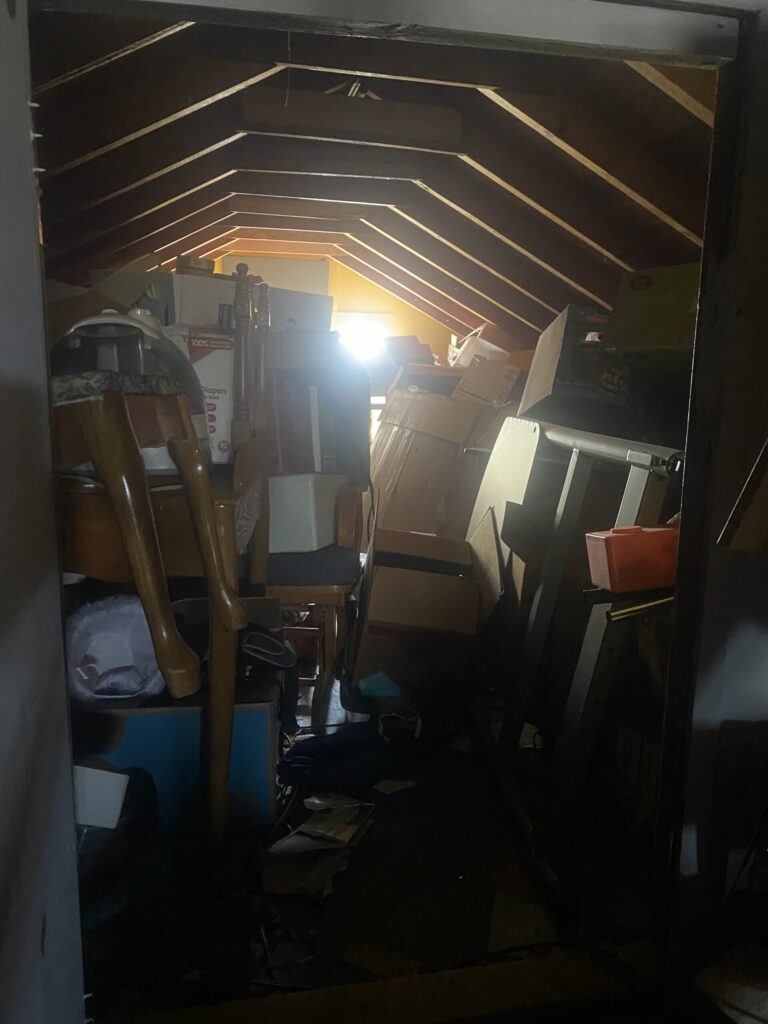 House clean out, Dallas TX